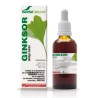 GINKSOR gotas 50ml (ginko biloba, memoria)