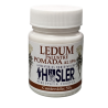 LEDUM PALUSTRE pomada al 15% 50ml Hasler